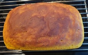 kuerbisbrot.jpg